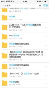 李宗 的在线视频,揭秘在线视频中的精彩瞬间与深刻见解