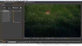 com草在线视频,揭秘网络短视频的魅力与影响